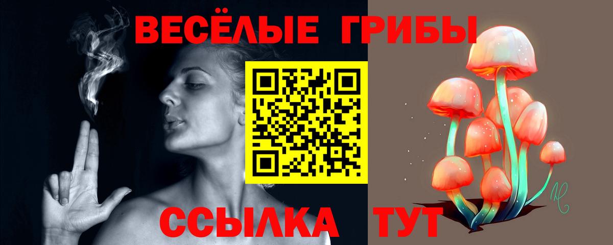 Галлюциногенные грибы мицелий Аша